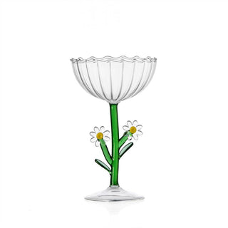 Botanica Champagnekupa Daisy