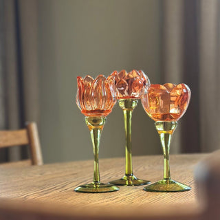 Candlestick Protea Orange S