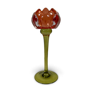 Candlestick Protea Orange L