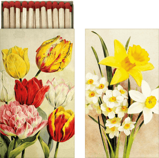 Matchsticks Yellow Spring Flowers
