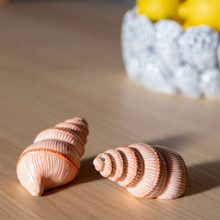 Salt- & Pepparkar Snäcka