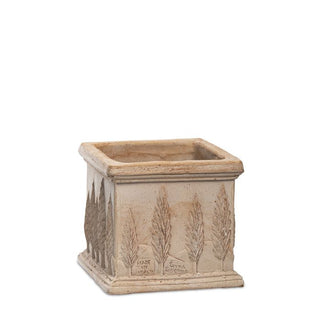Kruka Cypress 20cm