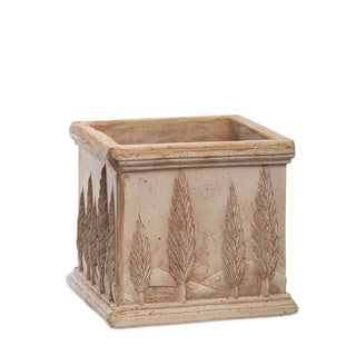 Kruka Cypress 24cm