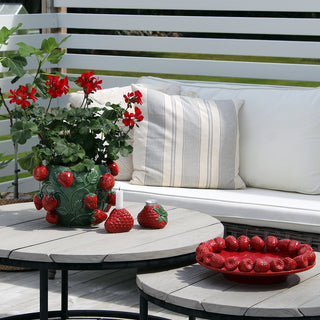 Potted Strawberry 