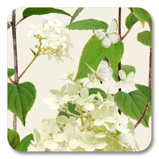 Coaster Hydrangea