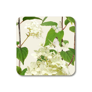 Coaster Hydrangea