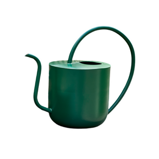 Watering Can Olivia Green