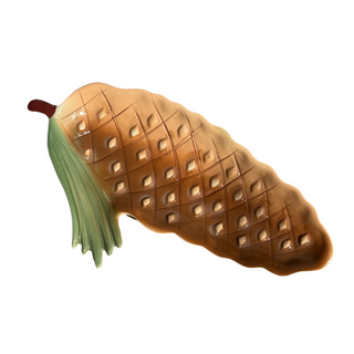Fat Pinecone