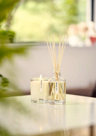 Scented sticks Bonsai Tree - Birch Sap, Orange &amp; Yuzu