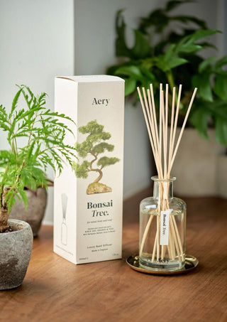 Scented sticks Bonsai Tree - Birch Sap, Orange &amp; Yuzu