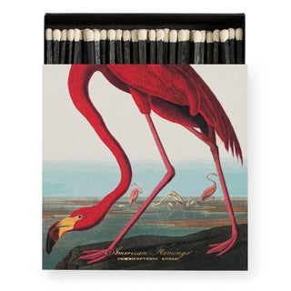 Matchsticks The American flamingo by Audubon