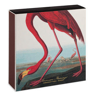 Matchsticks The American flamingo by Audubon