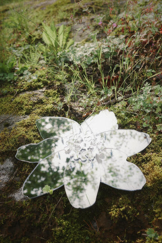 Spegel Wallflower Windflower