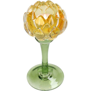 Candlestick Flower Yellow