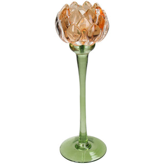 Candlestick Flower Orange