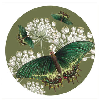 Coaster Flowers and Butterflies