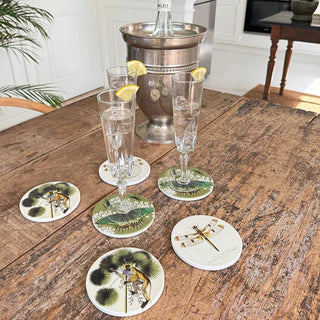 Coasters Dragonfly (Set of 4)