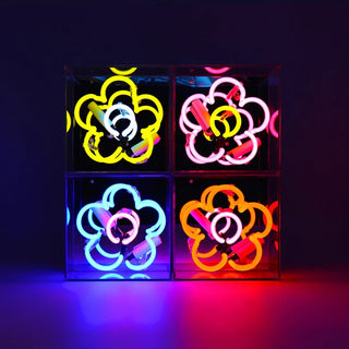 Neonlampa Box Mini 'Daisy' Rosa