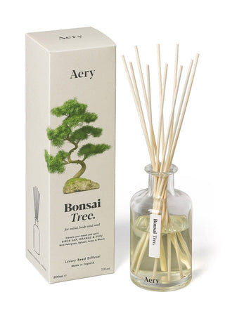 Scented sticks Bonsai Tree - Birch Sap, Orange &amp; Yuzu