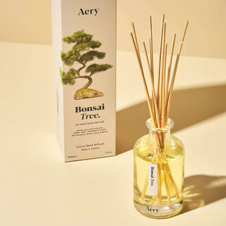 Scented sticks Bonsai Tree - Birch Sap, Orange &amp; Yuzu