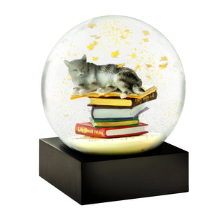 Snow Globe Cat on Books