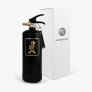 Fire extinguisher 2 kg Black/Brass 36 cm