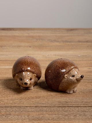 Salt &amp; Pepper Shakers Hedgehog