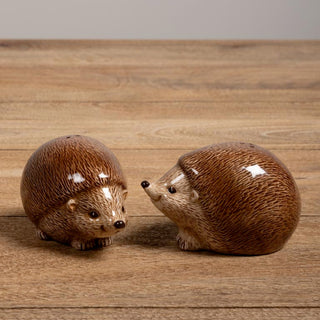 Salt &amp; Pepper Shakers Hedgehog